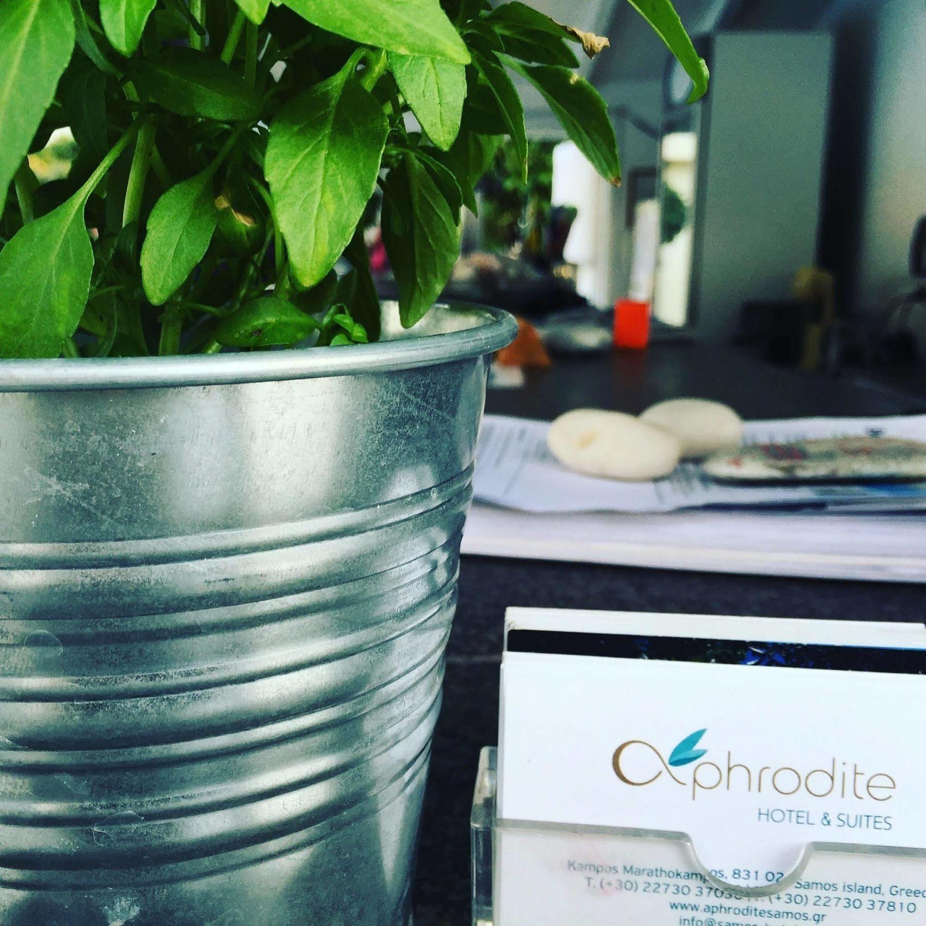 Aphrodite Samos Suites Μαραθόκαμπος Εξωτερικό φωτογραφία